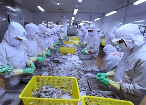VASEP: Viet Nam to gain growth in shrimp exports to EU