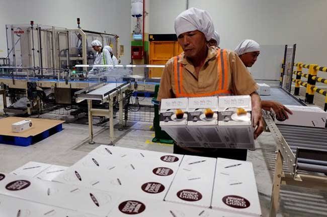 Vietnam’s manufacturing sector improves slightly in July