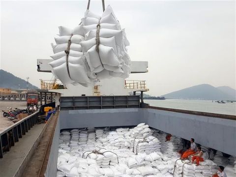 Viet Nam earns $1.73 billion from rice exports in first seven months of 2019