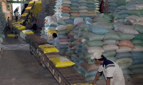 Rice quality key to exports