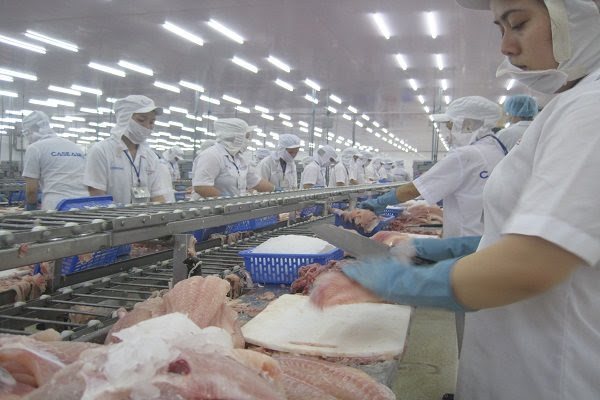 Tra fish firms struggle to gain local market share
