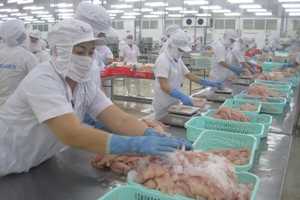 Seafood export revenue falls short of expectations