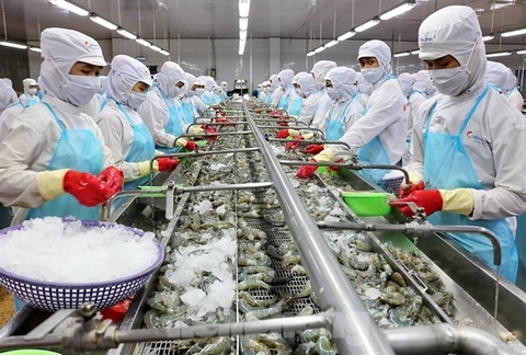 Minh Phu Seafood (MPC) shares fall on investigation of tax evasion