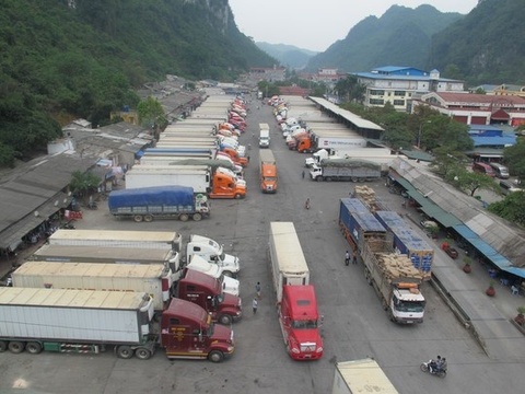 Coronavirus delays Viet Nam’s agricultural exports to China