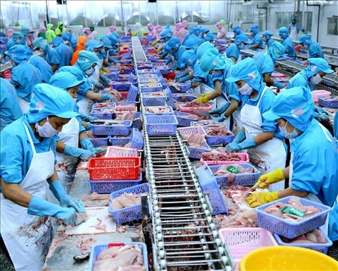 VN seafood exporters not too worried about COVID - 19