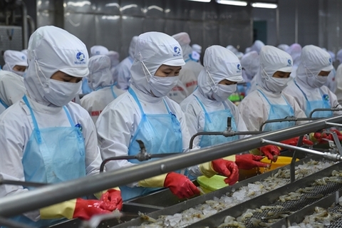 Pandemic has little impact on Viet Nam’s shrimp exports