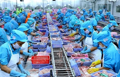 Seafood enterprises propose financial solutions during pandemic