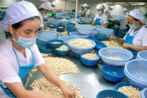 Viet Nam’s cashew exports to US up in two months