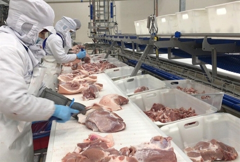 Live hog price to reduce to VND60,000/kg