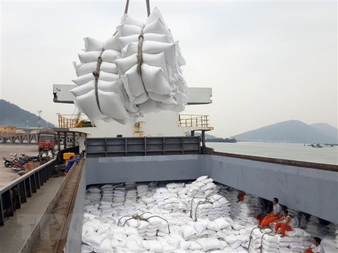 Rice exporters surprised with the quick end of export quota