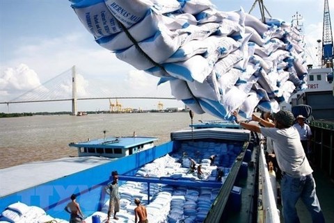 Inspection team set up to check rice volume stuck at ports