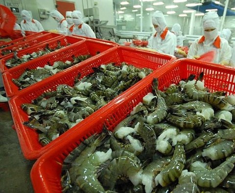 Viet Nam has high shrimp export growth to US and Japan in Q1