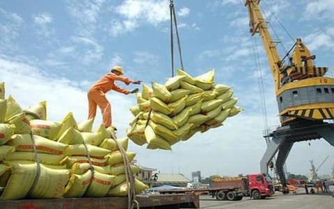 MoIT proposes removing rice export quota