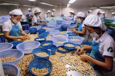 Vinacas tells cashew enterprises to trade carefully
