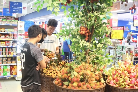 Supermarkets to help lychee farmers sell their produce