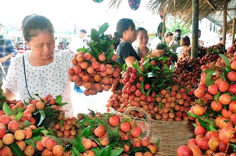 Veg, fruit exports exceed $1.5 billion in first half