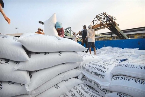 Viet Nam's rice export price stands at lowest level over past two months