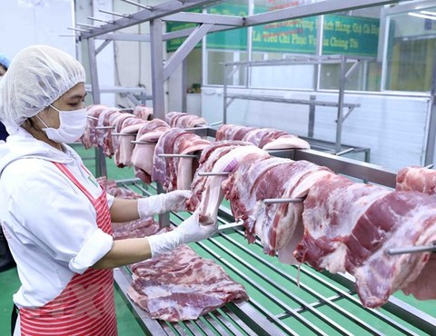 Shares of husbandry companies (DBC) soar on rising profits