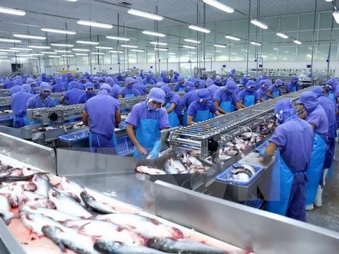 Tra fish companies see profits slump in pandemic