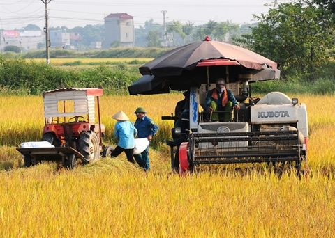 Policies needed to promote mechanical engineering in agriculture