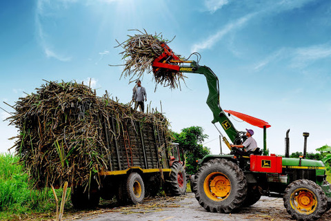Viet Nam promotes measures to manage local sugar market