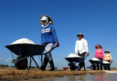 Salt production to be developed
