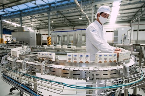 Shares firm, materials and consumer progress