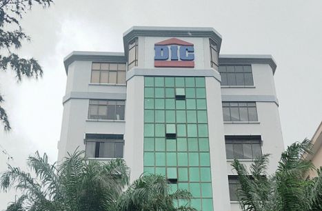 Ban Viet Securities to sell all 29.42 million shares in DIG