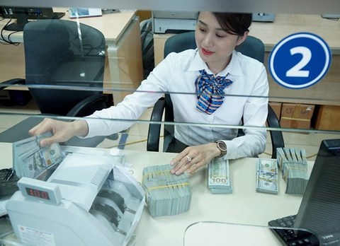 US’ branding of Viet Nam as currency manipulator biased: Experts