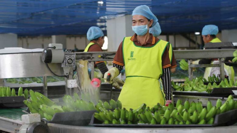 宏观分析-越南投资,越南私募基金,据农林水产大臣Veng Sakhon称，停止12月15日，柬埔寨通过正规和非正规渠道出口了855万吨最赢利的农工作物，,越南证券,越南美女,(1)