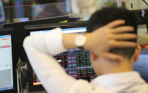 Market recovers, VN-Index gains more than 31.6 points