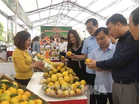 E-commerce can take Vietnamese farm products to global market: workshop