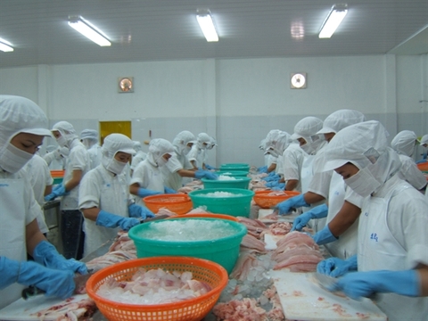 Viet Nam's tra fish exports expected to continue recovering