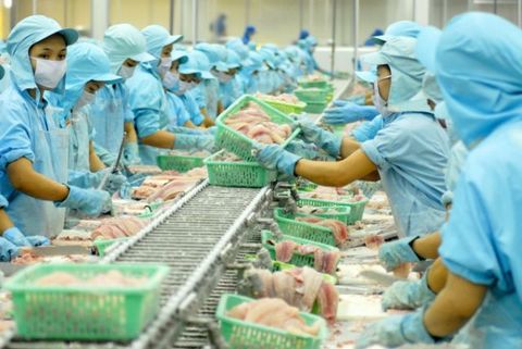 Viet Nam's agriculture sector gains export growth in H1