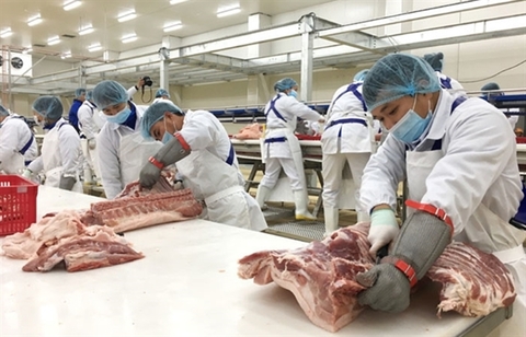 Flexibility in maintaining safety at slaughterhouses necessary to maintain supply