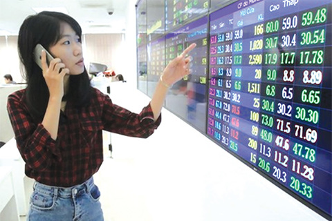 Shares continue to rally on pillar stocks