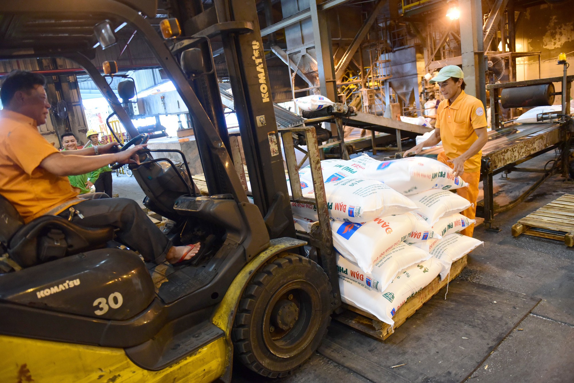 Fertilizer price hikes concern farmers in Vietnam