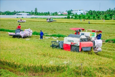 Commercial banks directed to aid rice industry amid pandemic