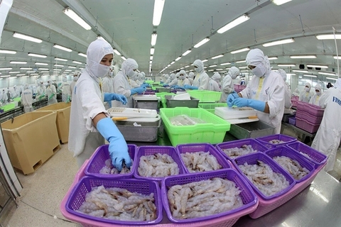 COVID-19 impact starts reflecting in seafood companies' results (VHC, FMC)  from August: VDSC