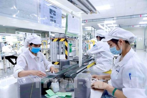 Viet Nam faces slow economic recovery: VEP