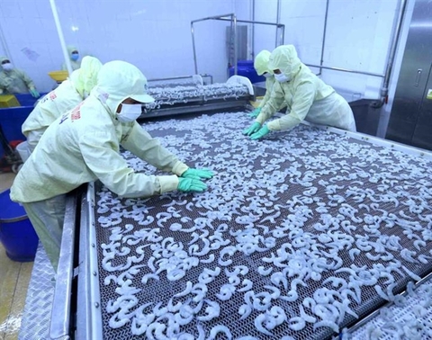 Seafood industry expects strong recovery in operations in coming months