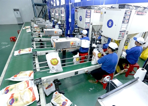 Many industries make rapid recovery in production, exports in October