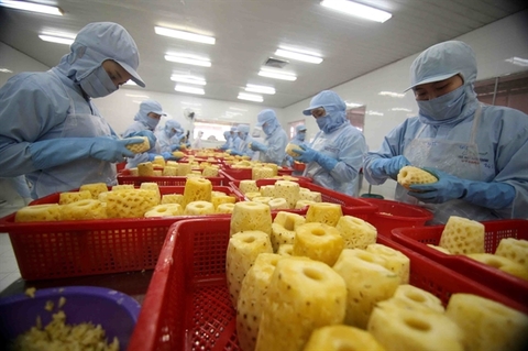Room remains for Vietnamese processed fruit and veggie exports
