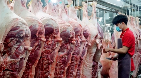 Pork price likely stable for Tet