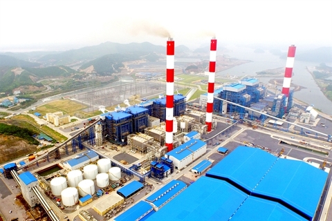 Thermal power businesses (BTP) report contradictory earning results