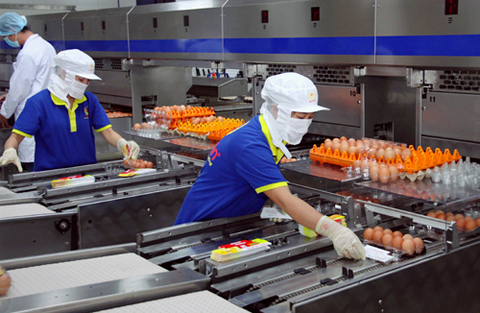 Rising input costs hit Vietnamese enterprises