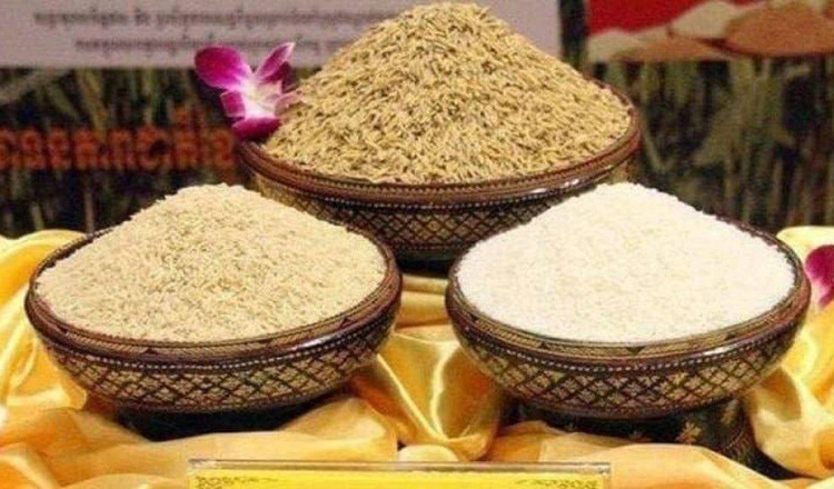 OECD-FAO forecast shows rice exports by Cambodia and Myanmar ...