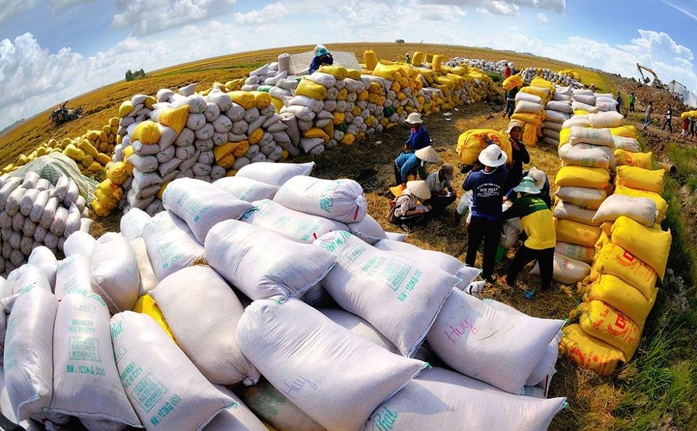 Việt Nam faces challenges to maintain rice export growth in 2025