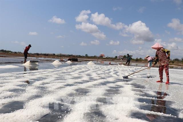 Việt Nam sets import tariff quotas for salt and poultry eggs in 2025